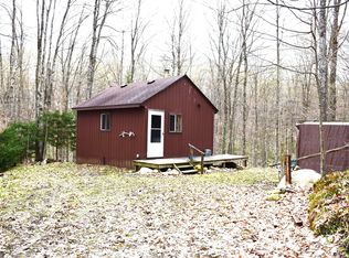 9367 Holiday Rd, Wolverine, MI 49799