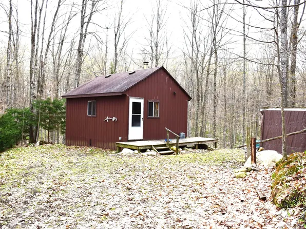 9367 Holiday Rd, Wolverine, MI 49799