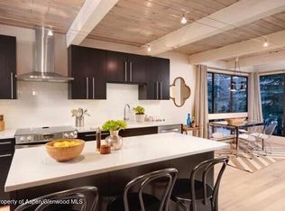 101 E Cooper Ave APT 202, Aspen, CO 81611