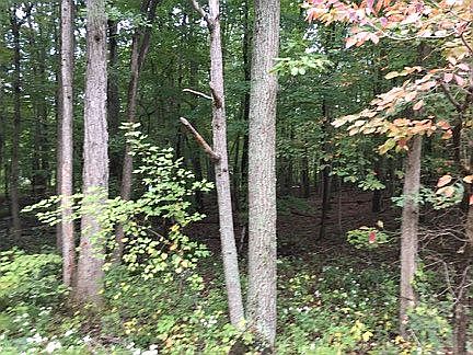 1st image of LOT K6 Three Wild Acre