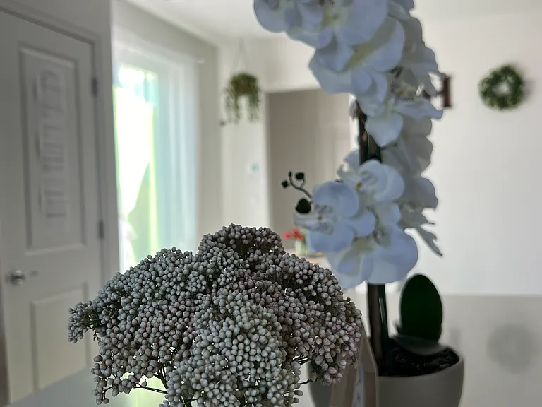 Beautiful Decor