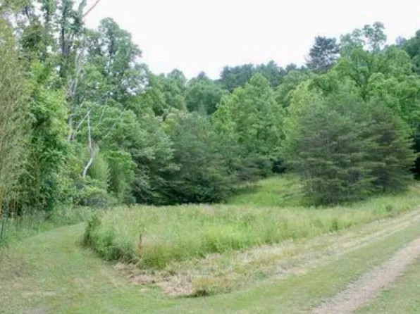 Harts Crossing Way, Del Rio, TN 37727