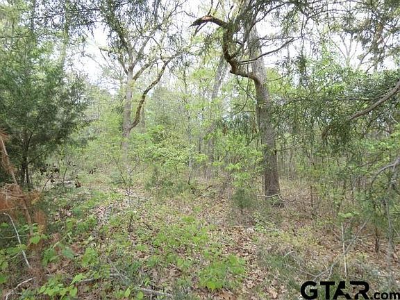 4th image of E Fm 323