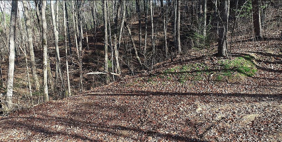 1st image of 499 Mel Hall Rd