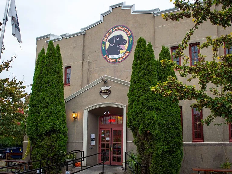 Multnomah Village Portland, Oregon Labrador Public House
