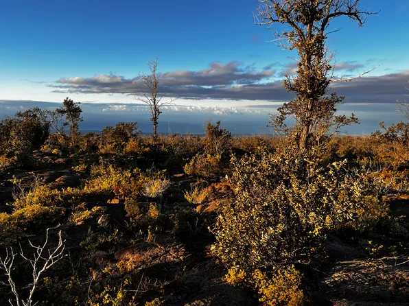 92-8664 Pineapple Pkwy Lot 25, Captain Cook, HI 96704