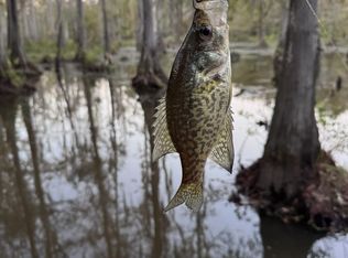 Highway 41, Brewton, AL 36426