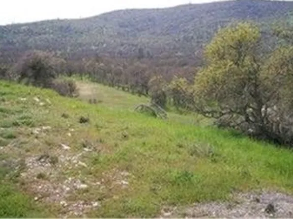 711 Hawkridge Rd, Copperopolis, CA 95228