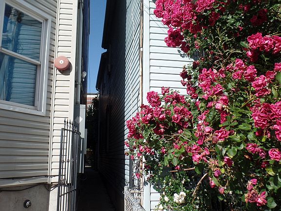 Property Side View