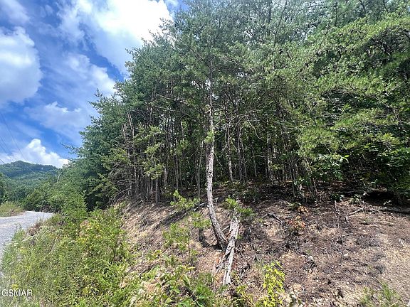 2nd image of 992 Bogard Creek Rd Lot 0