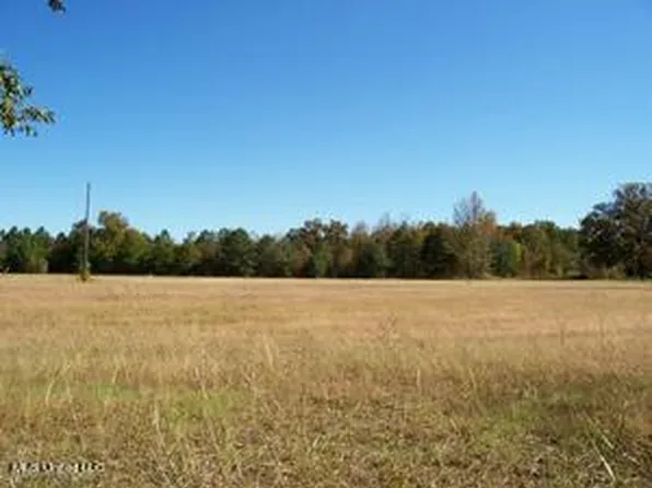Breedlove Rd Lot 6, Michigan City, MS 38647