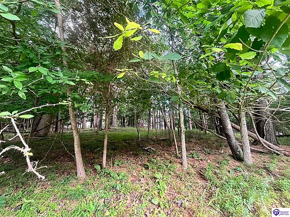 2nd image of 148 Bent Pine Ln
