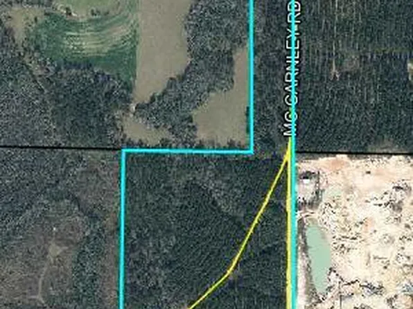 0 McCarnley Rd, Bonifay, FL 32425