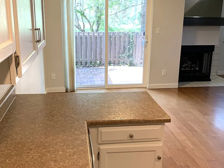Kitchen and Back Yard