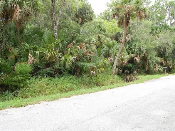 PALM DRIVE LOT 33, NEW SMYRNA BEACH, FL 32168