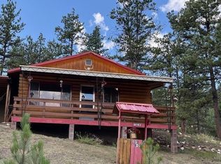 32 Icehouse Trl, Lake George, CO 80827