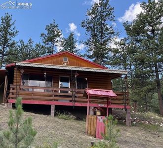 32 Icehouse Trl, Lake George, CO, 80827