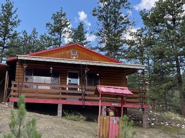 32 Icehouse Trl, Lake George, CO 80827