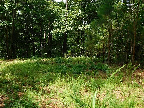 4th image of LOT 23 Big Creek Way
