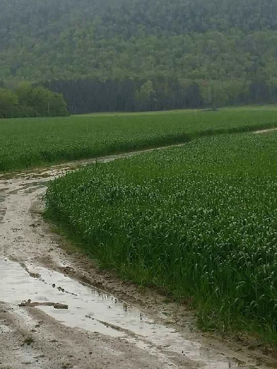2nd image of 1580 Cave Spring Rd