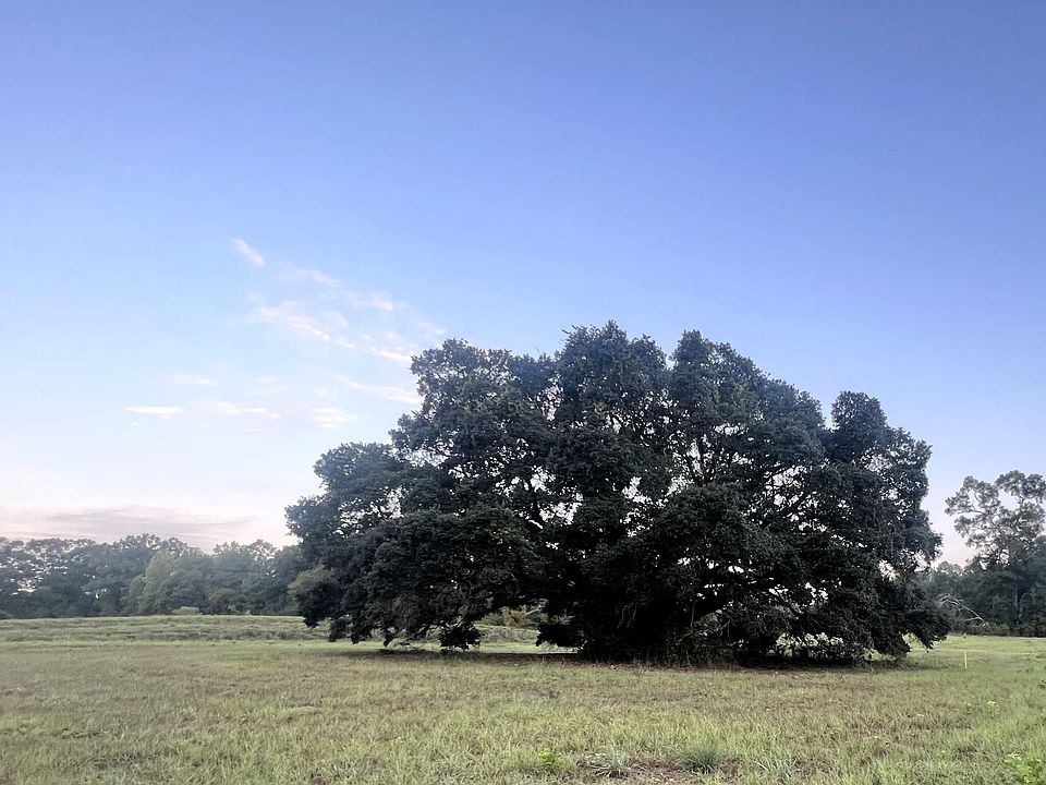 LOT 1B Commerce St, Saint Francisville, LA 70775 MLS 2023016315 Zillow