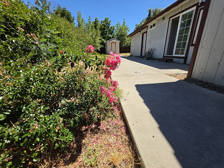 2962 Dorothy Dr — Photo 23
