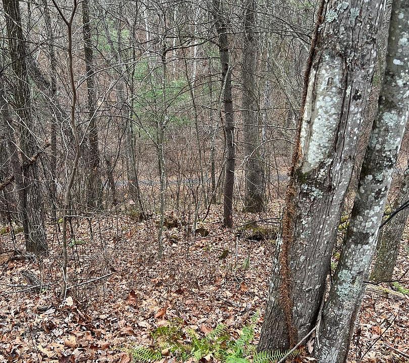 2nd image of 0 Crab Apple Rd