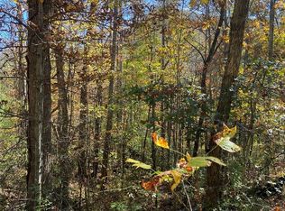 8B/9 Lowland Glade, Tuckasegee, NC 28783
