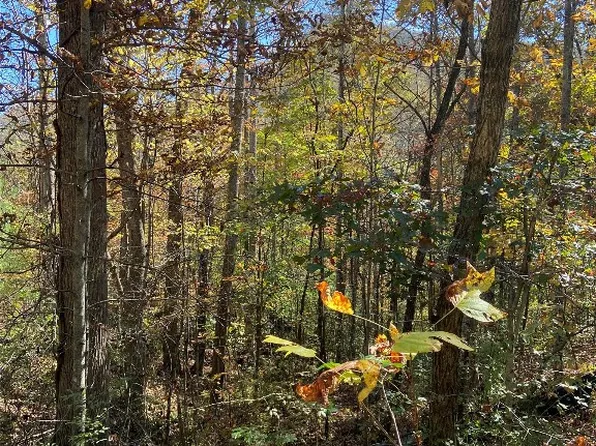 8B/9 Lowland Glade, Tuckasegee, NC 28783