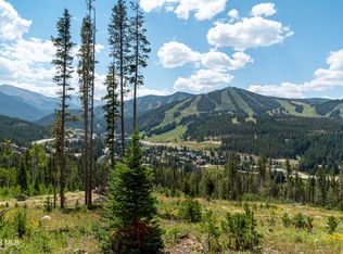40 Cub Creek Way LOT 2, Winter Park, CO 80482