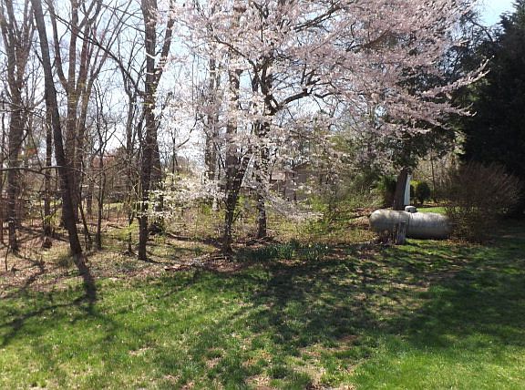 3rd image of 520 John McGrady Rd