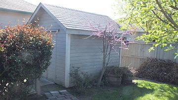 Shed