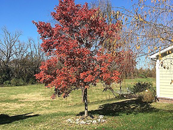 4th image of 304 Dobson Branch Trl