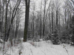 Tbd Off North Ln, Sagola, MI 49881