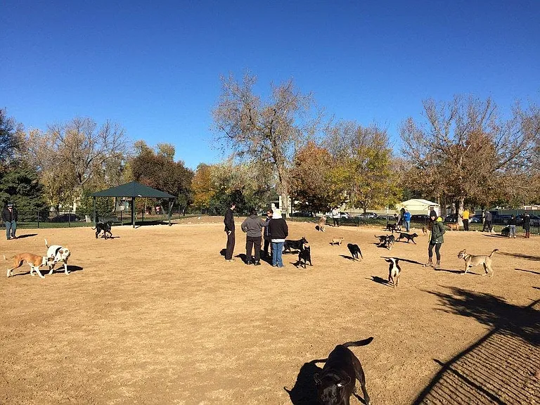 Dog park