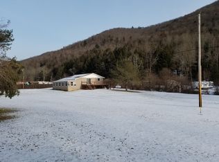 362 Nelson Run Rd, Austin, PA 16720