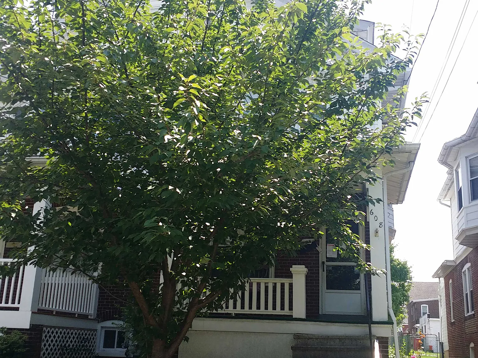 608 N Charlotte St photo 1