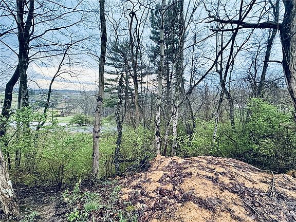 5th image of Saylor Rd