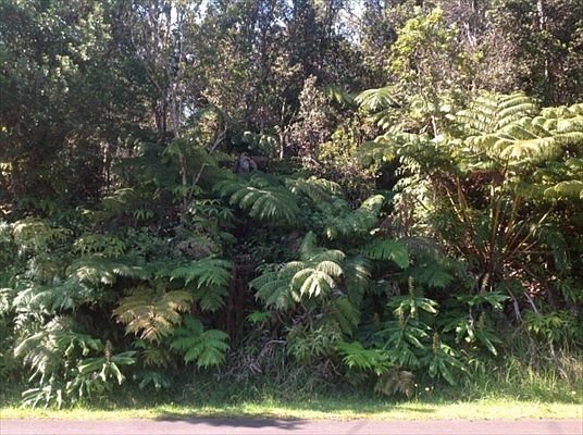 2nd image of Liona St Lot 53-B
