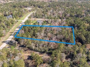 10674 Ruger Rd, Willis, TX 77378