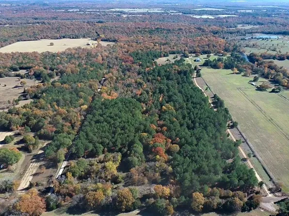 An Cres #2212, Palestine, TX 75803
