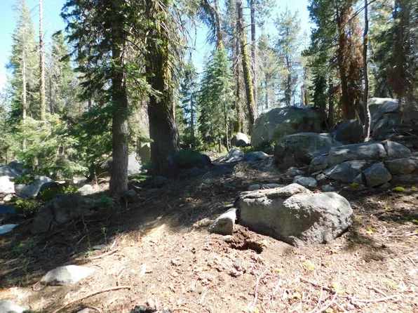 Kitch Trl, Arnold, CA 95223