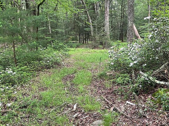 3rd image of 1021 Pine Kill Road