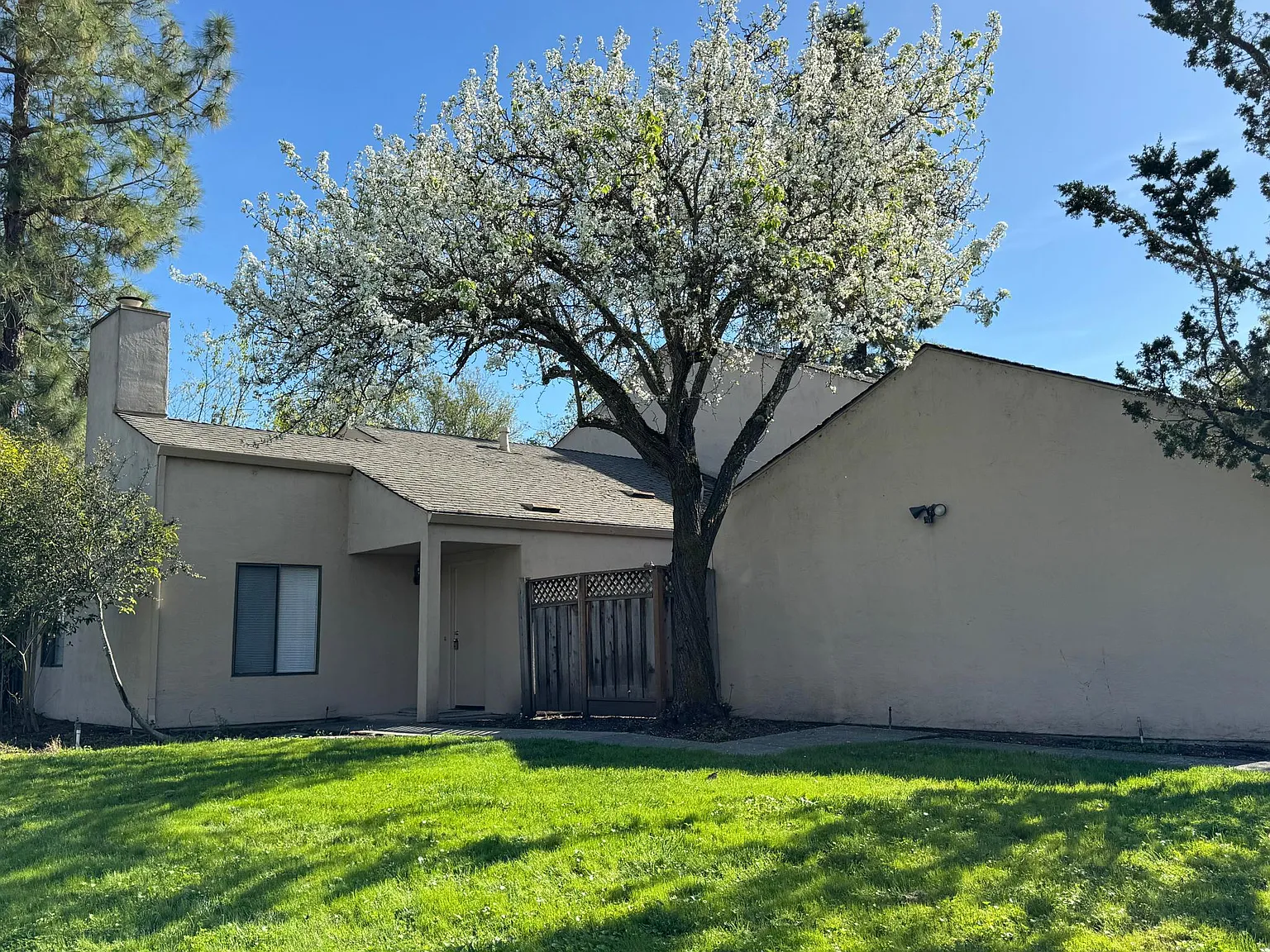 2990 Tachevah Dr — Photo 1