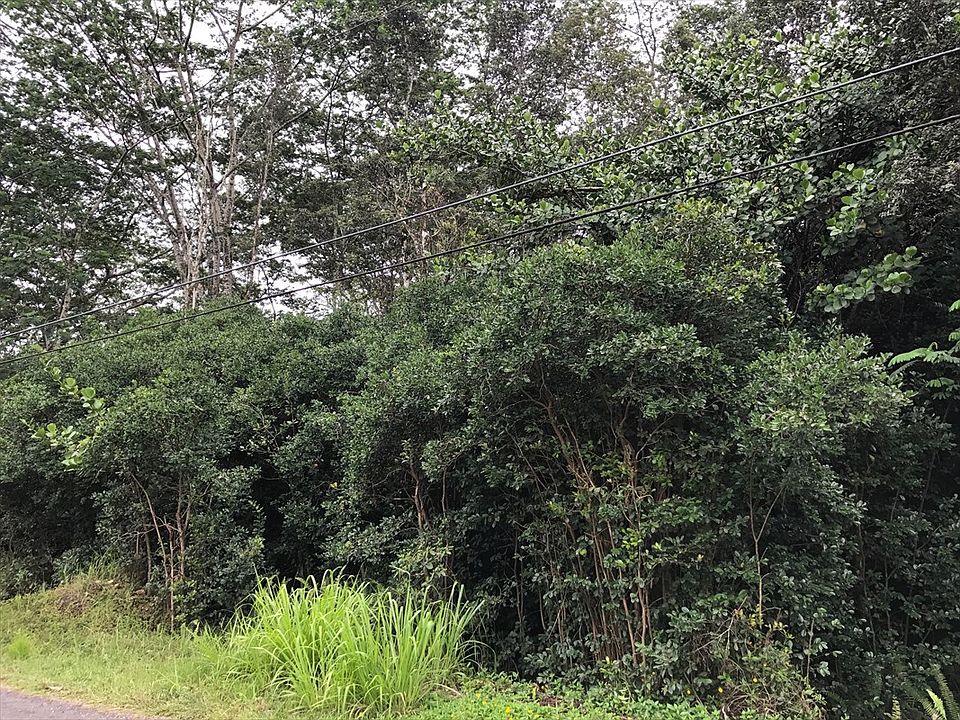 2nd image of 23rd Ave