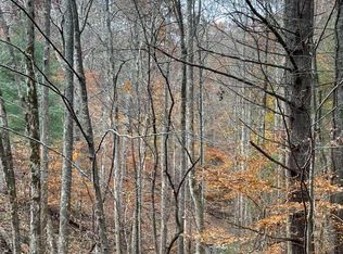 1 White Oak Frst, Hiawassee, GA 30546