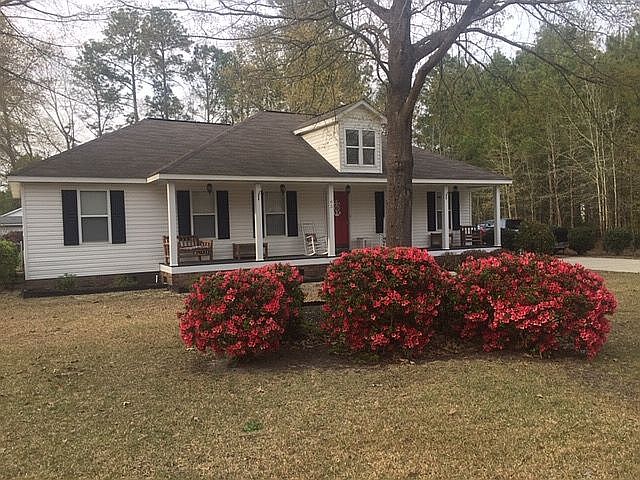 Azaleas in the spring