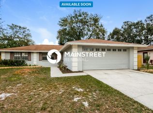 3722 Greenford St, Valrico, FL 33596
