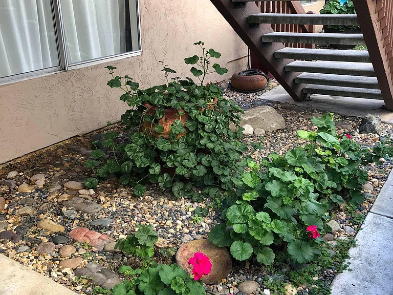 3770 Grim Ave #5 — Photo 8