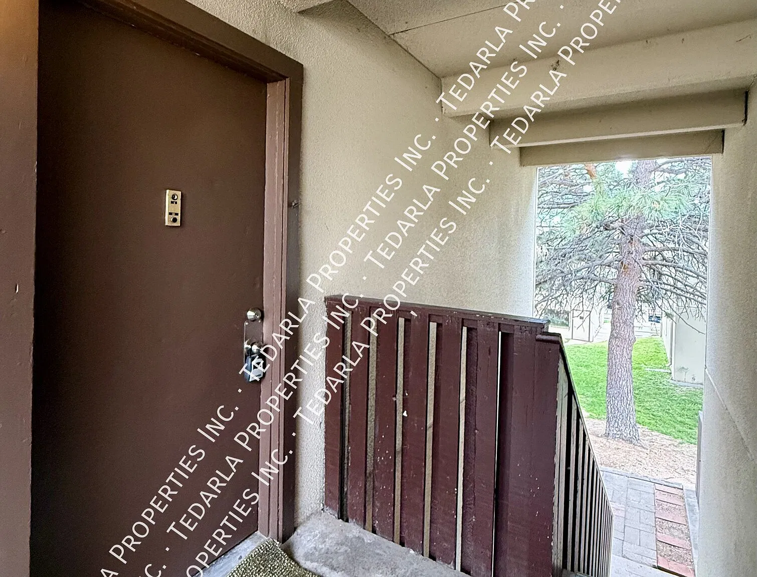 1/2 Mo Free Rent-Utilties Included & Updated 2 Bed 1 Bath — Photo 3